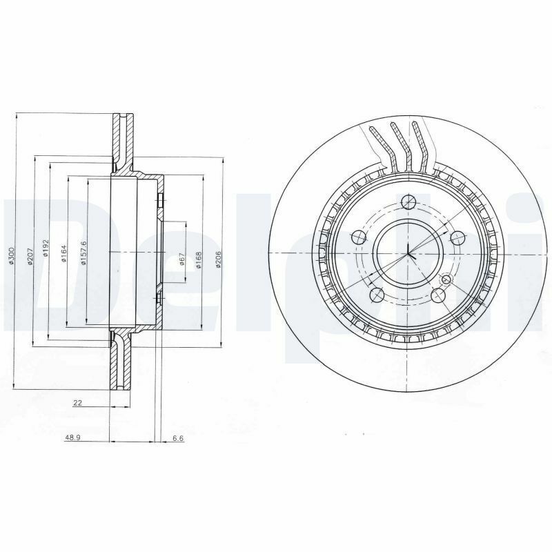 DELPHI BG4226C | Fren Diski (Çiftli Paket)-Boyalı, Delikli